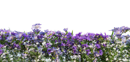 Naklejka premium Colorful flower garden on a white background