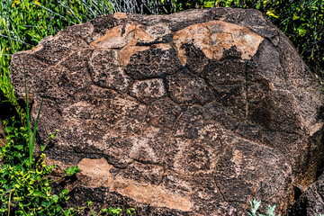 Big deer rock art site at Perry Mesa in the Aqua Fria prehistoric area of Arizona
