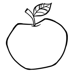 apple and leaf