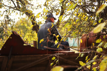 Defocus man on old wooden cart - harvest time on Ukraine. Yellow green autumn leaf outside.  Colorful foliage in the park. Falling leaves natural. Blurred silhouette of horse. Out of focus