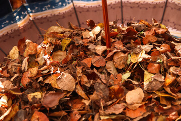 Defocus autumn background. Dry leaves. Many flying orange, yellow, green dry leaves on umbrella. Enjoy autumn. Happy fall. Funny season. Foliage. October. Closeup. Out of focus