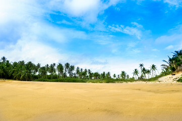 Fototapeta na wymiar Paradise beach, surrounded by coconut trees and sparkling sand