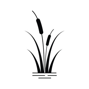 recommend clip art: Reeds plant icon design isolated on white background