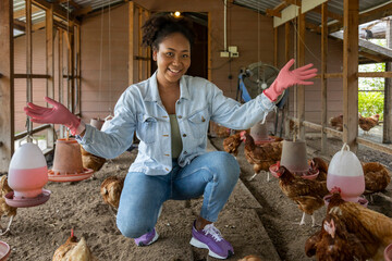 African American farmer is showing organic eggs from hen house coop which using free range technique © Akarawut
