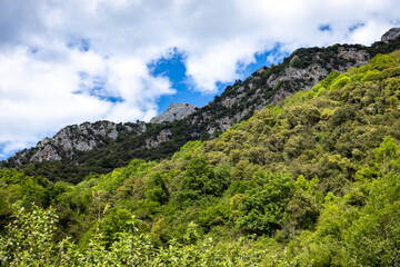 Fototapeta na wymiar Beautiful mountain landscape in the north of Spain.