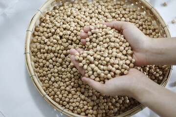 Soybean