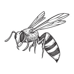 horned bee 