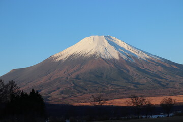 朝の富士山