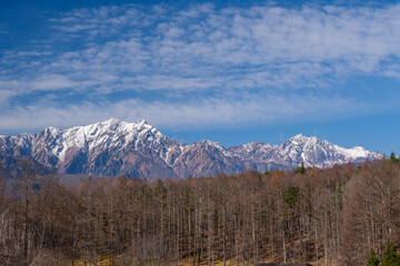 Fototapeta premium 北アルプスと落葉松