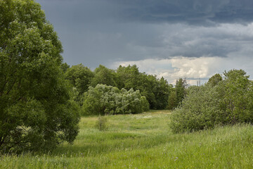 landscape with trees and clouds