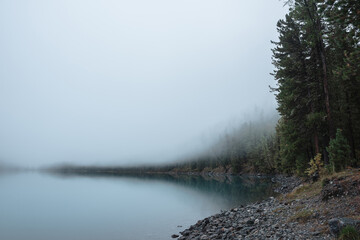 Tranquil scenery with stone shore of transparent mountain lake and coniferous trees silhouettes in dense fog. Pure alpine lake in mystery thick fog. Glacial lake and forest edge in misty early morning