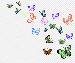 Flying butterflies. Colorful butterfly isolated on transparent background. Spring and summer insects vector illustration. Butterfly summer and spring insect, flying animal