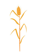 wheat icon isolated