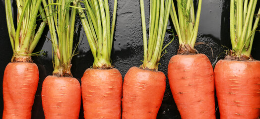 Fresh carrot on dark background, closeup