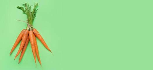 Fresh carrots on green background with space for text