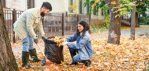Young couple gathering autumn leaves outdoors - obrazy, fototapety, plakaty