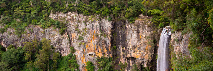 Panoramic Australian rainforest views in Springbrook National Park. Purling Brook waterfall in view. 