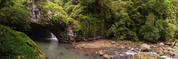 Natural Australian rainforest views in Springbrook National Park. 