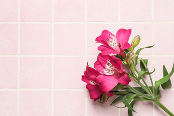 Beautiful alstroemeria flowers on color tile