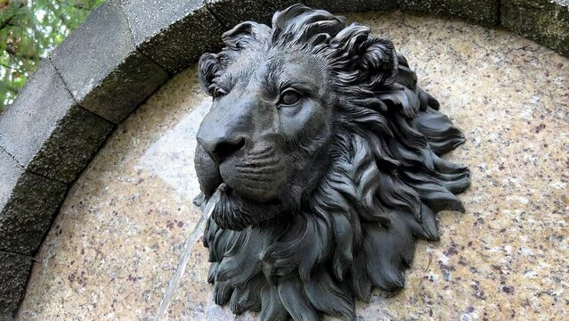 fountain Lion's head close-up it is iron on a stone wall from the mouth a jet of water flows sad eyes and a mane develops although in fact it is made of metal. High quality 4k footage