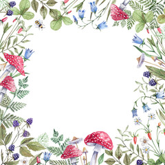 Floral, watercolor frame with hand drawn bluebell flowers, wild strawberries and blackberries, fly agaric and green ferns. Forest flowers, wildflowers, mushrooms square frame on a white background.