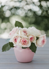 Beautiful pink roses of the Eden Rose variety (Pierre de Ronsard) - close-up. Selective focus.
