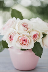 Obraz na płótnie Canvas Beautiful pink roses of the Eden Rose variety (Pierre de Ronsard) - close-up. Selective focus.