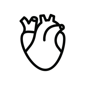 heart organ icon illustration vector graphic