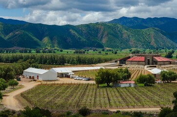 Paisaje de viñedos Santo Tomás en Valle de Guadalupe, Baja California, México