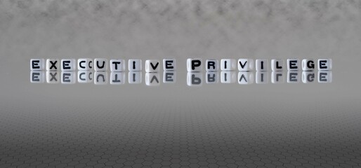 executive privilege word or concept represented by black and white letter cubes on a grey horizon...