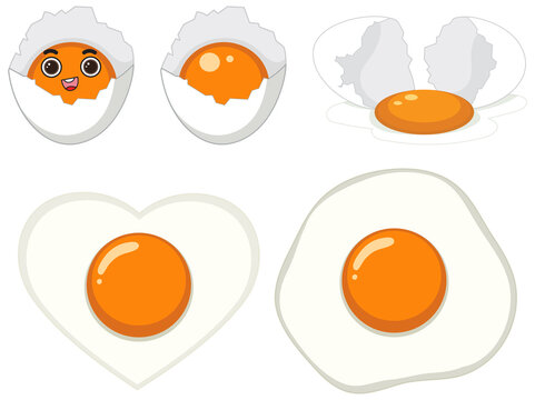 Egg white and egg yolk set