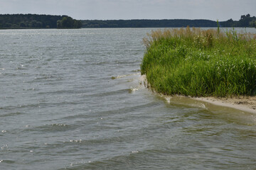 Waves on the river in windy weather, grassy, green shore, forest and sky