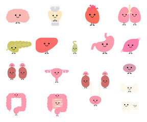 かわいい体の中の仲間達