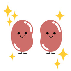 かわいい元気な内臓ちゃん　腎臓、副腎