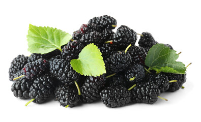 Pile of ripe black mulberries on white background