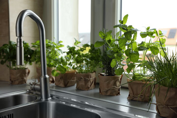 Fototapeta na wymiar Different aromatic potted herbs on window sill near kitchen sink