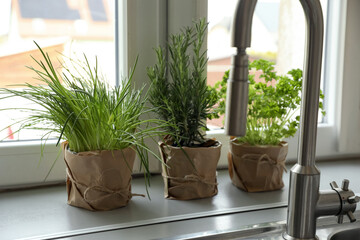 Different aromatic potted herbs on window sill near kitchen sink