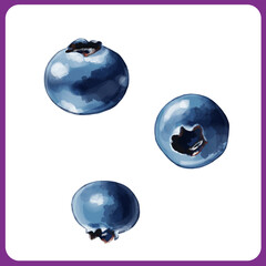 手描き水彩のブルーベリーイラスト01