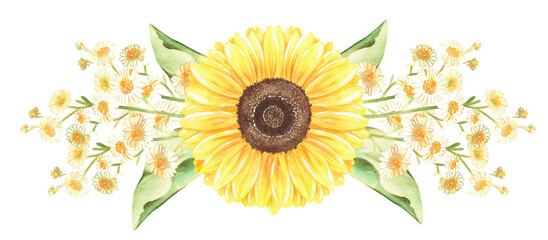 Fototapeta na wymiar Sunflowers and chamomile border .Watercolor illustration. Isolated on a white background.