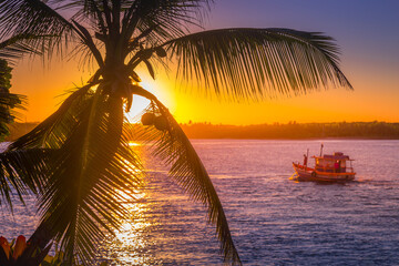 Fishermen boat and idyllic palm beach at sunset in Porto Seguro, Bahia