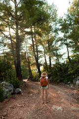 Obraz premium a traveler girl with a backpack walks along a forest road.
