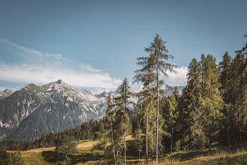 Landschaft | Vorarlberg