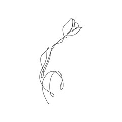 Fototapeta premium Abstract Flower Tulip continuous line drawing art singulart aesthetic simple Perfect for print, wall decor, phone case, shirt, sticker, pillow, acrylic, border, wallpaper, wedding