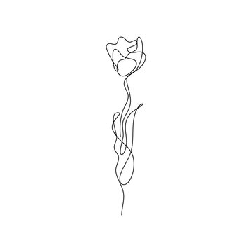 Abstract Flower Tulip continuous line drawing art singulart aesthetic simple Perfect for print, wall decor, phone case, shirt, sticker, pillow, acrylic, border, wallpaper, wedding