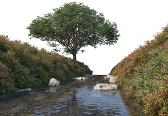 Plants and flowers beside the canal on a white background.