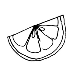 A slice of lemon. Sliced citrus fruits: lemon, orange, grapefruit, lime, bergamot. Hand-drawn vector illustration in doodle style. Isolated clipart. For postcards, stickers, coloring books.