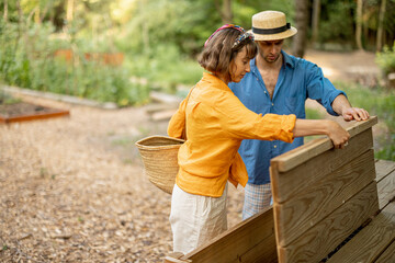 Young couple throwing cut grass to compost wooden bin for rotting into fertilizer for the garden....