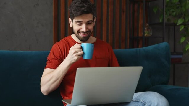 Young man wear red t-shirt get video call using laptop pc computer talk greet with hand drink coffee sits on blue sofa stay home spend free time in living room indoors grey wall. People lounge concept