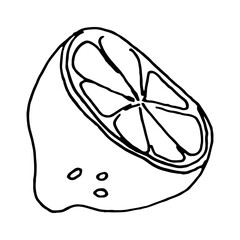 Half a lemon. Sliced citrus fruits: lemon, orange, grapefruit, lime, bergamot. Hand-drawn vector illustration in doodle style. Isolated clipart. For postcards, stickers, coloring books.