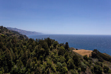 Fototapeta premium A view on the Pacific ocean and forest